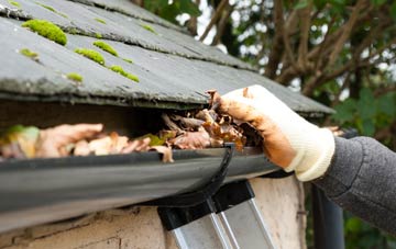 gutter cleaning Capel Seion