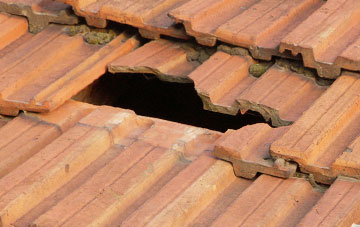 roof repair Capel Seion